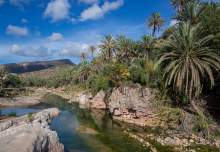Paradise Valley Tour